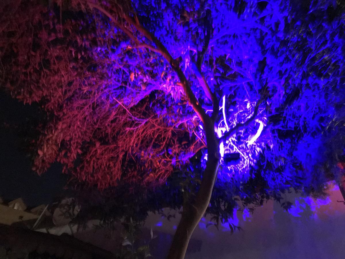 Kemer Manastir Hotel Kültér fotó